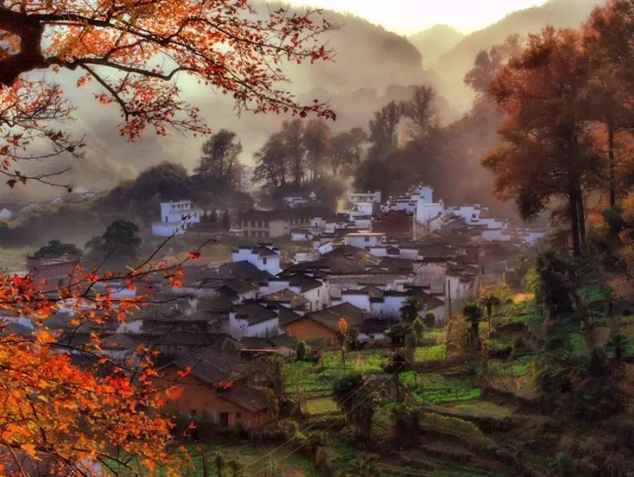 8家黃山腳下最美民宿，在青山田野享受歸園田居