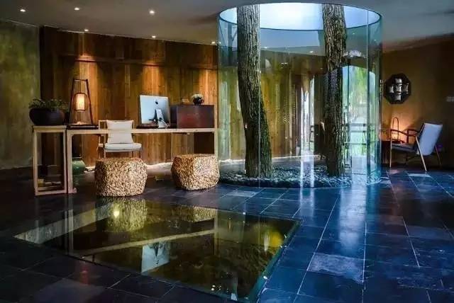 8家黃山腳下最美民宿，在青山田野享受歸園田居