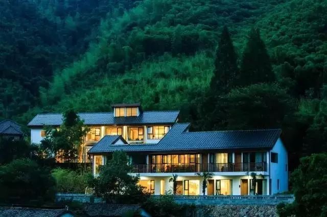 梧桐小筑，一幅靜靜舒展的水墨畫卷