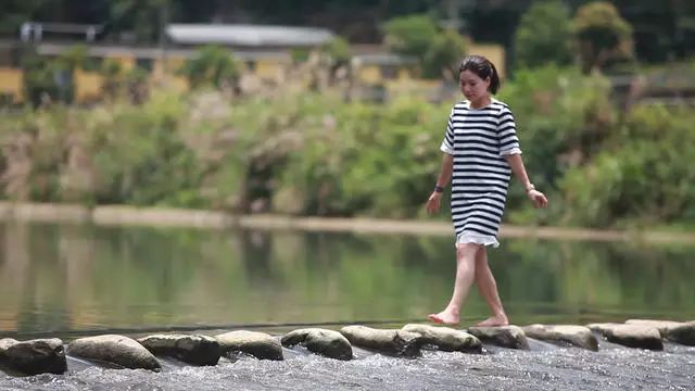 梧桐小筑，一幅靜靜舒展的水墨畫卷