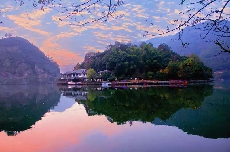 梧桐小筑，一幅靜靜舒展的水墨畫卷