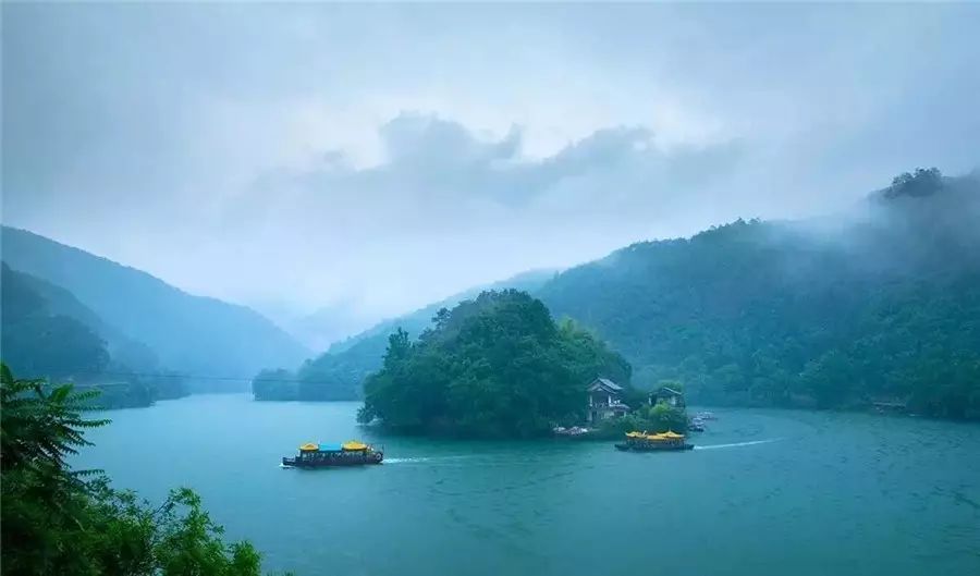 梧桐小筑，一幅靜靜舒展的水墨畫卷