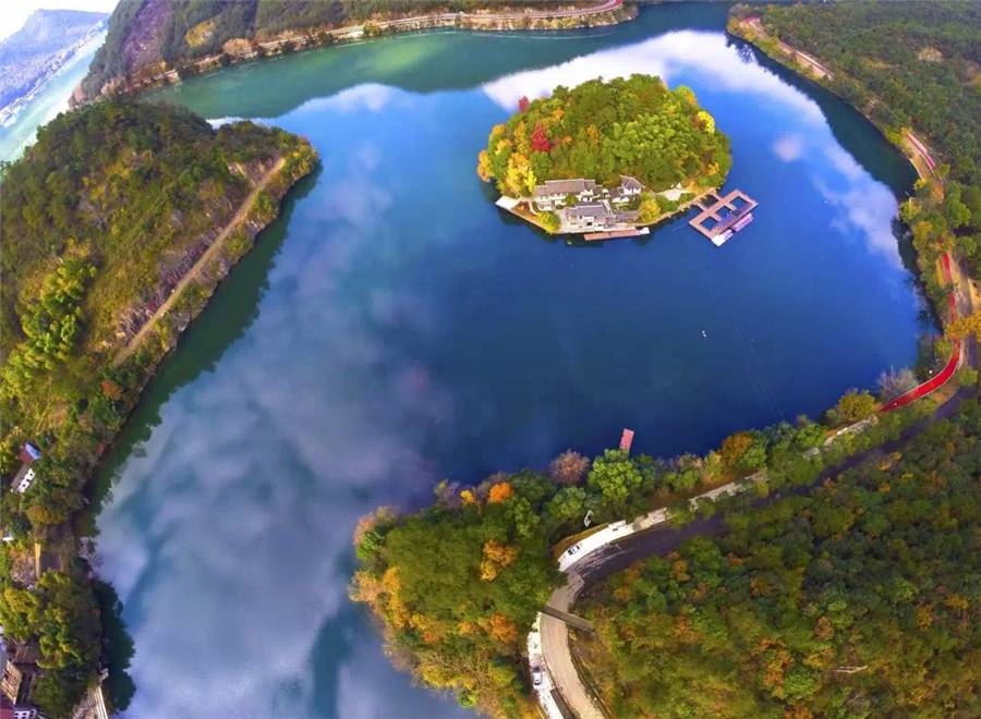 梧桐小筑，一幅靜靜舒展的水墨畫卷