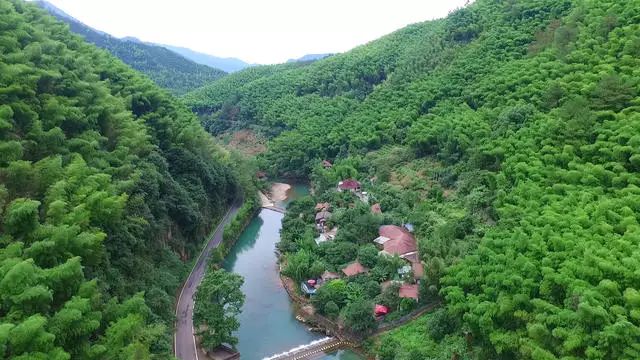 梧桐小筑，一幅靜靜舒展的水墨畫卷