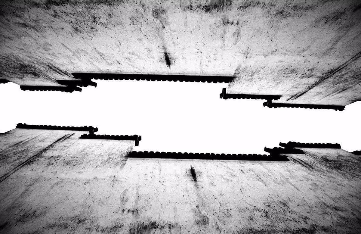 梧桐小筑，一幅靜靜舒展的水墨畫卷