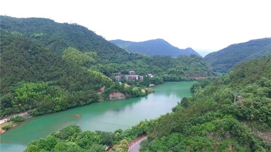 梧桐小筑，一幅靜靜舒展的水墨畫卷