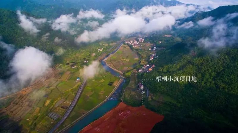 梧桐小筑，一幅靜靜舒展的水墨畫卷