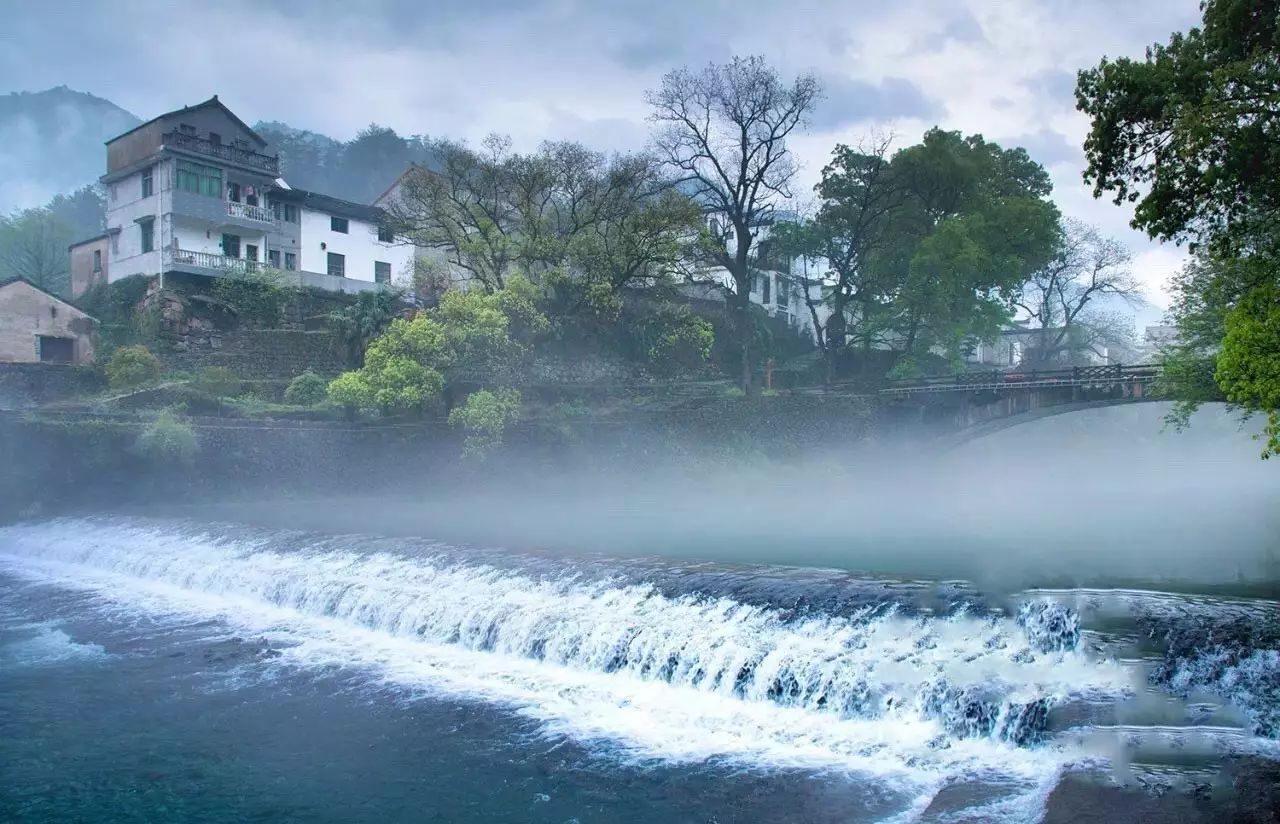 梧桐小筑，一幅靜靜舒展的水墨畫卷