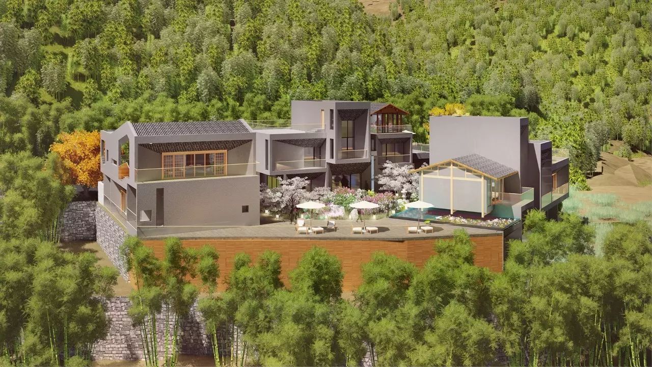 梧桐小筑，一幅靜靜舒展的水墨畫卷