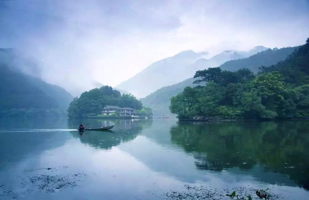 梧桐小筑，一幅靜靜舒展的水墨畫卷