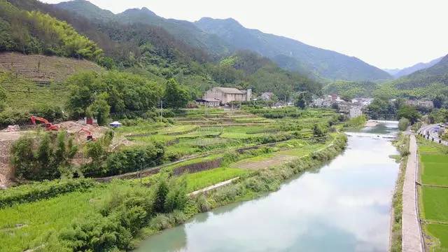 梧桐小筑，一幅靜靜舒展的水墨畫卷