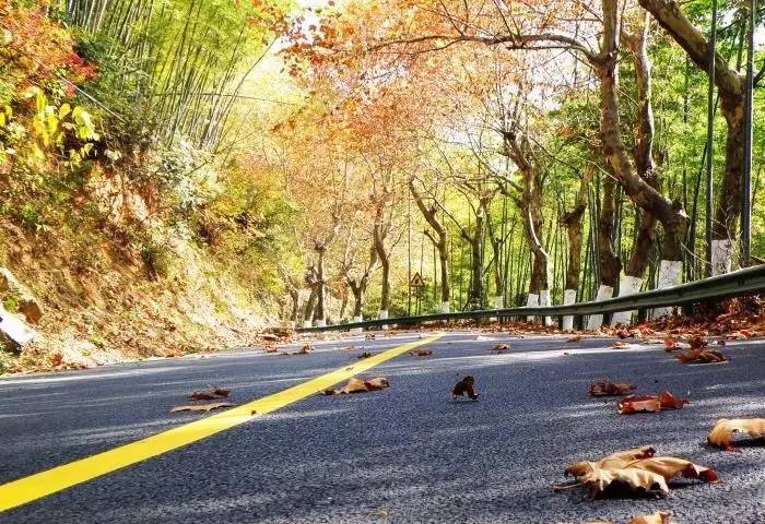 瓜洲云裳山村，春風(fēng)又綠江岸春