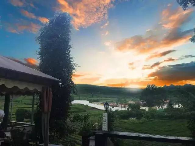 瓜洲云裳山村，春風(fēng)又綠江岸春