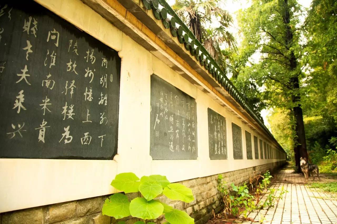 瓜洲云裳山村，春風(fēng)又綠江岸春