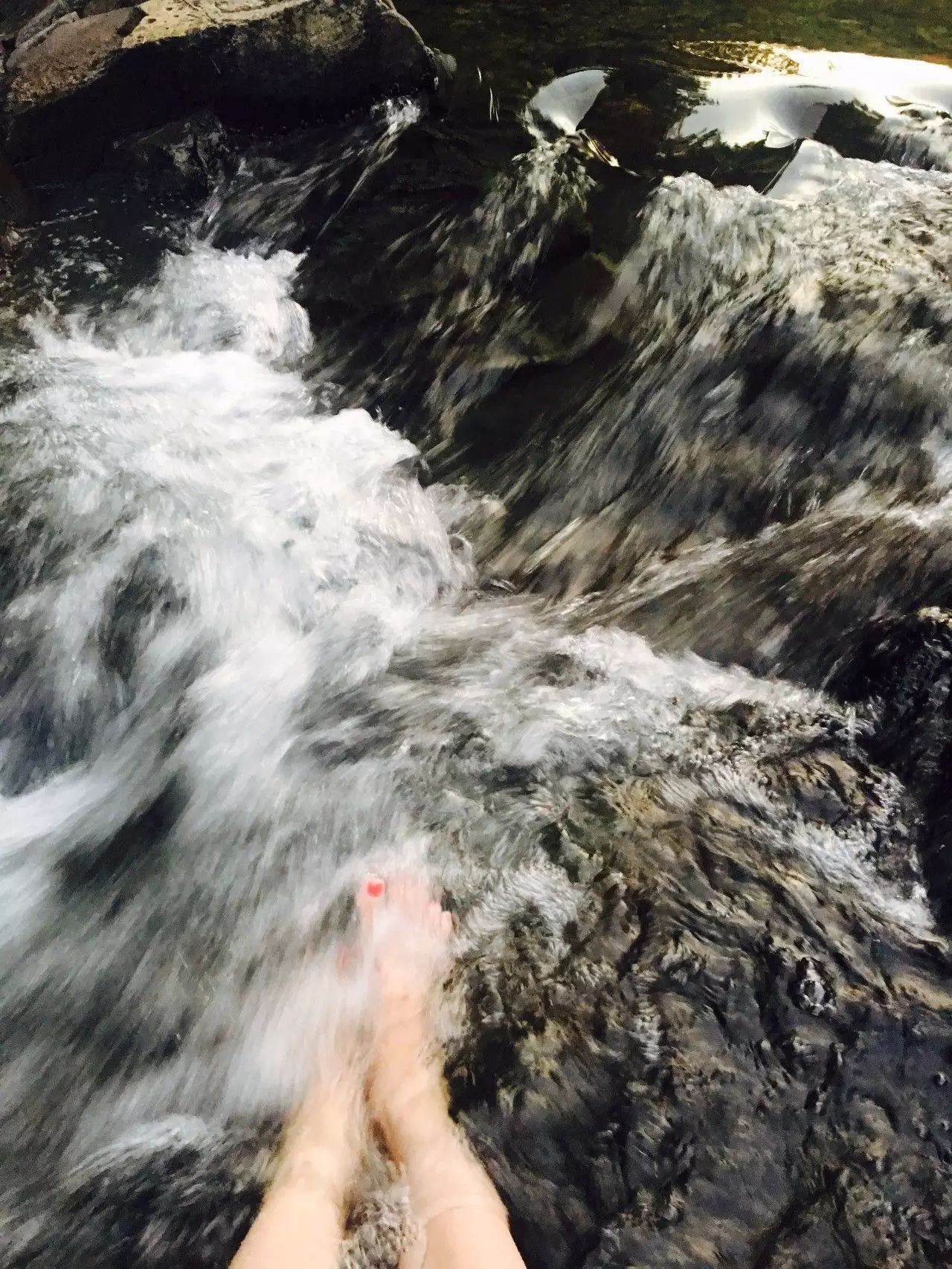 莫干山悠然九希，面朝竹海背向茶山的避暑圣地