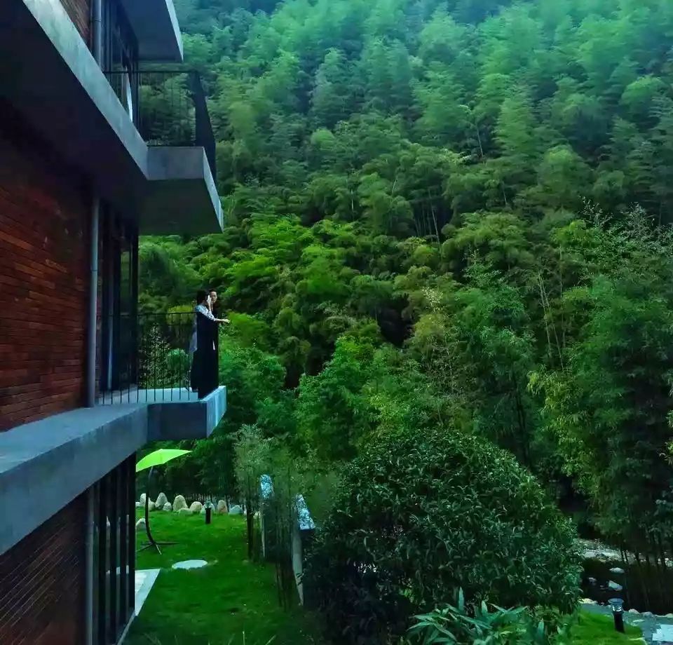 莫干山悠然九希，面朝竹海背向茶山的避暑圣地