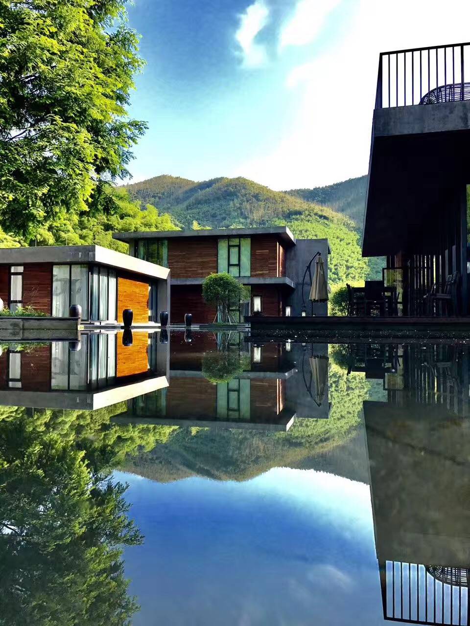 莫干山悠然九希，面朝竹海背向茶山的避暑圣地