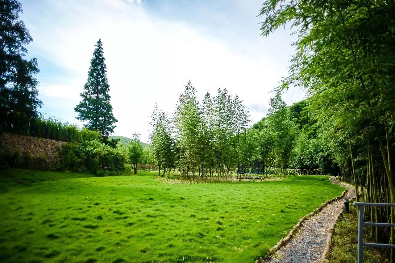 莫干山悠然九希，面朝竹海背向茶山的避暑圣地