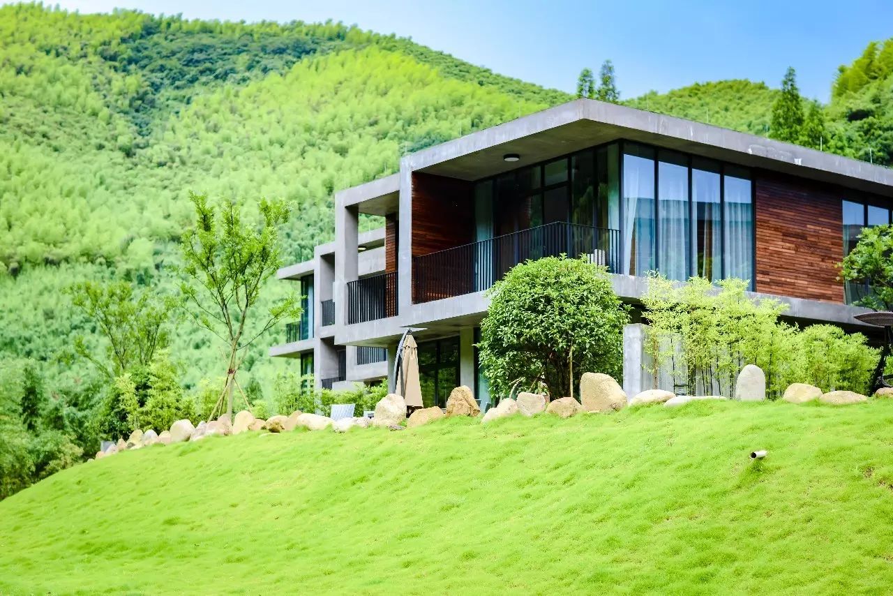 莫干山悠然九希，面朝竹海背向茶山的避暑圣地