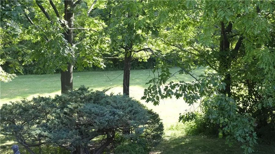 多村一號，在海外住進小別墅慢條思理地生活