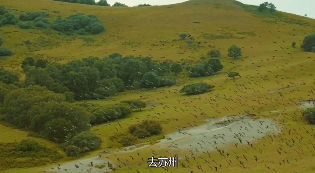 云棲·陌舍，在蘇州享受閑散古樸的生活氣息