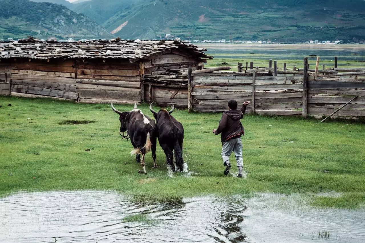 香格里拉薩洛頤度假酒店，以上帝視角看納帕海