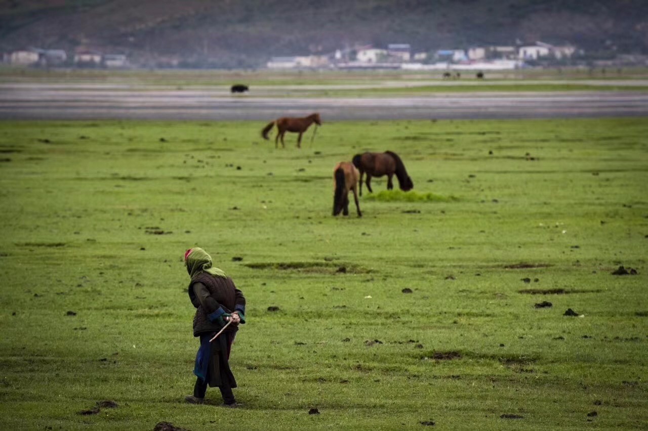 香格里拉薩洛頤度假酒店，以上帝視角看納帕海
