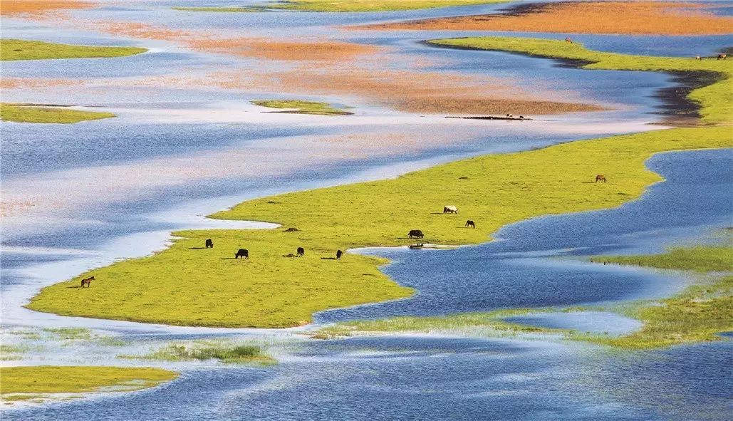 香格里拉薩洛頤度假酒店，以上帝視角看納帕海