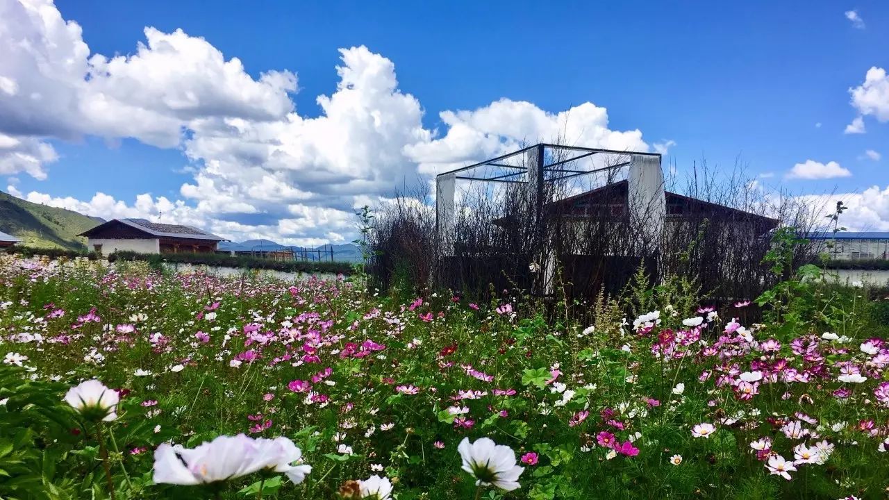 香格里拉薩洛頤度假酒店，以上帝視角看納帕海