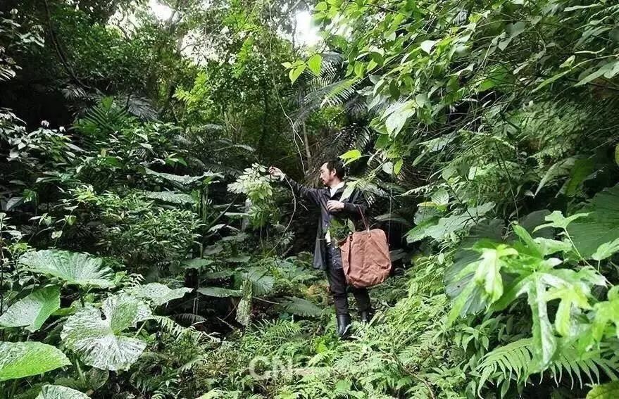 福佳“奇趣花園市集”，體驗大自然的美好