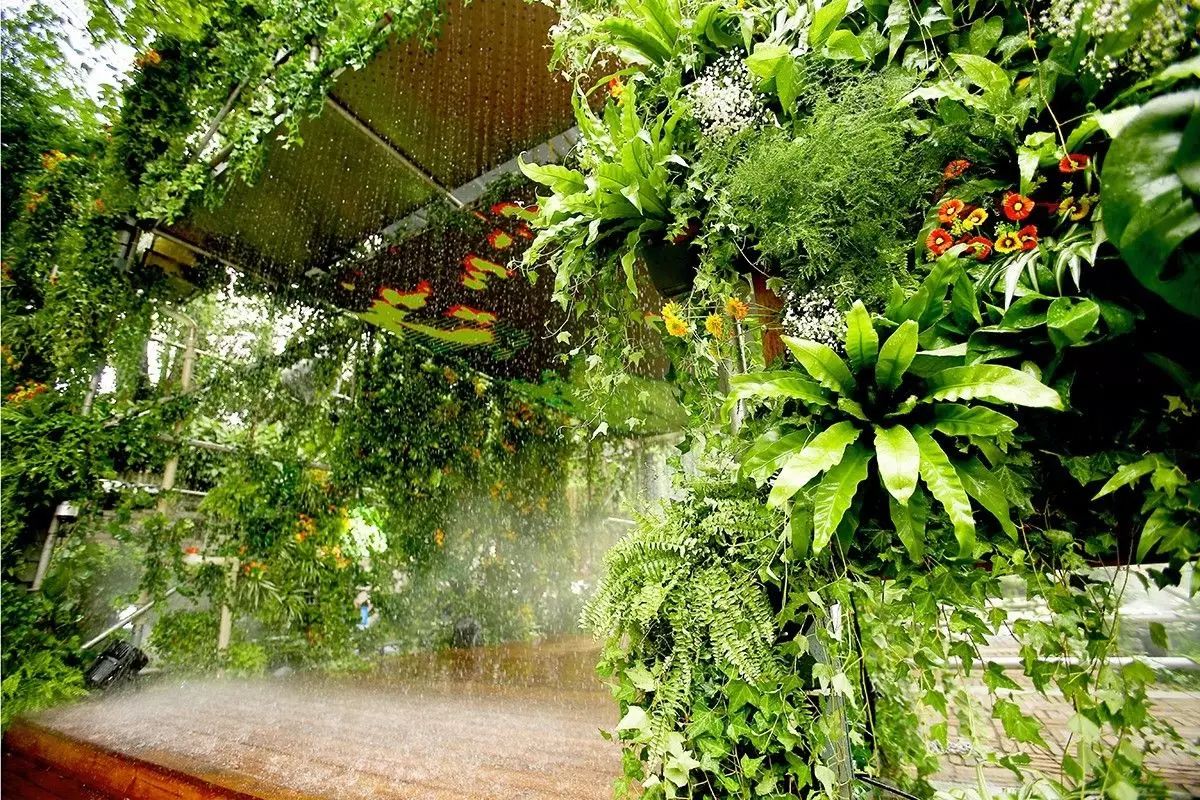 福佳“奇趣花園市集”，體驗大自然的美好