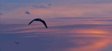 心湖·悅空間，用民宿的方式愛著我的小島生活