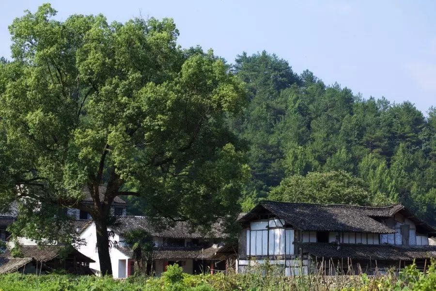 中國(guó)古建筑，千年古村不會(huì)消失但卻只剩下老房