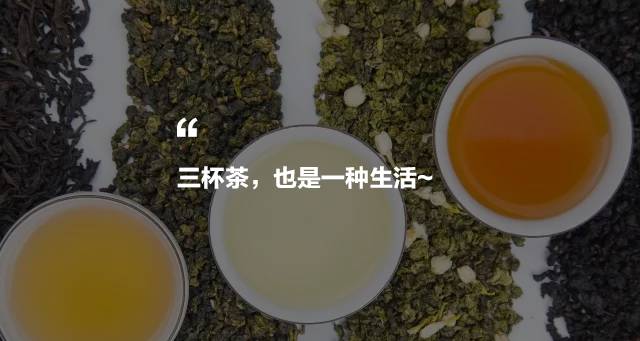烏龍先生，用心做好茶發(fā)揚博大精深的茶文化