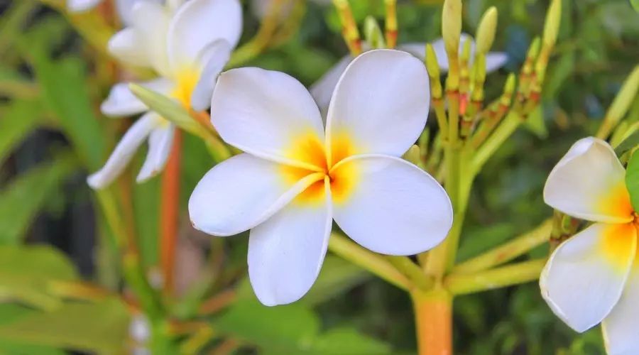 巴厘島·寓薦民宿，最美的巴厘島