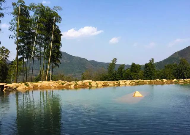 珀洱半坡，在竹海樹林之間盡享山間好風(fēng)光