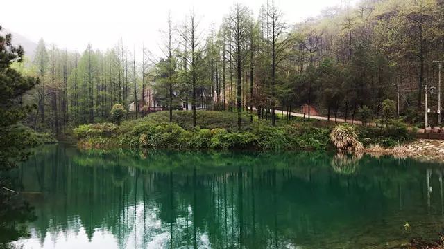 湖州嶺霧，在云霧之巔把自然搬進屋內(nèi)