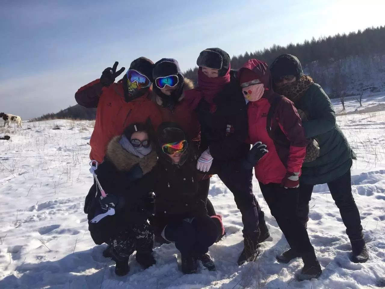 陌上·花溪堂，陌上花開笑顏傾城