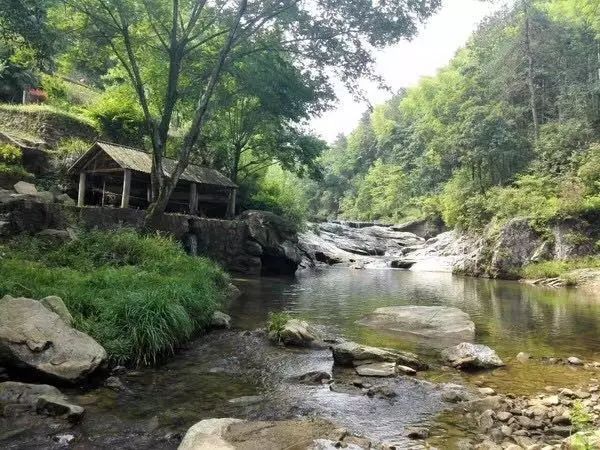 陌上·花溪堂，陌上花開笑顏傾城