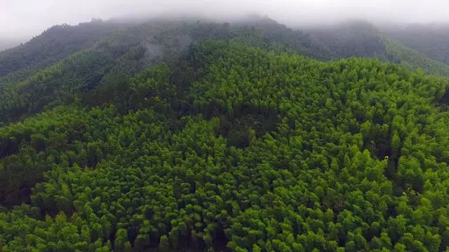 陌上·花溪堂，陌上花開笑顏傾城