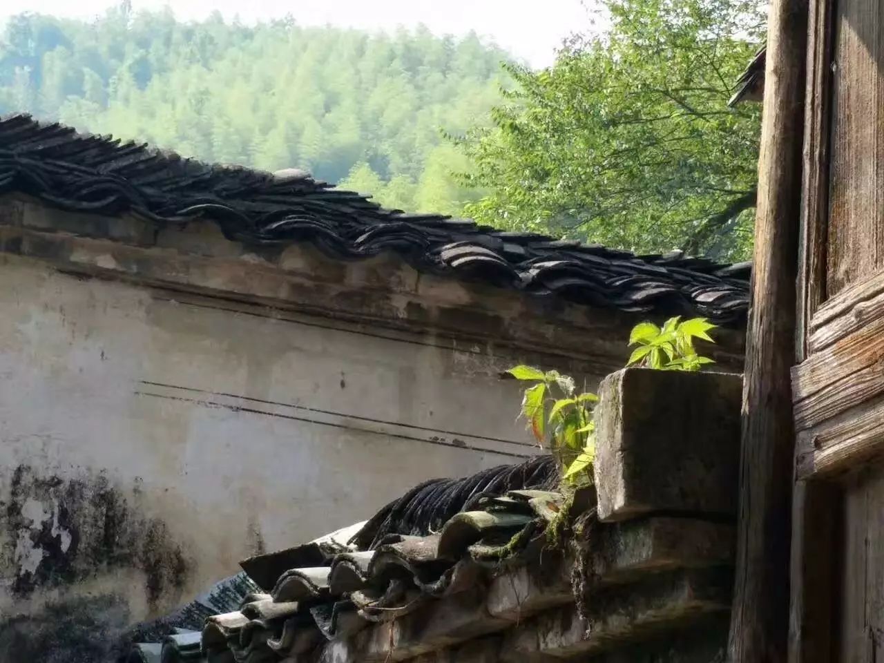 陌上·花溪堂，陌上花開笑顏傾城