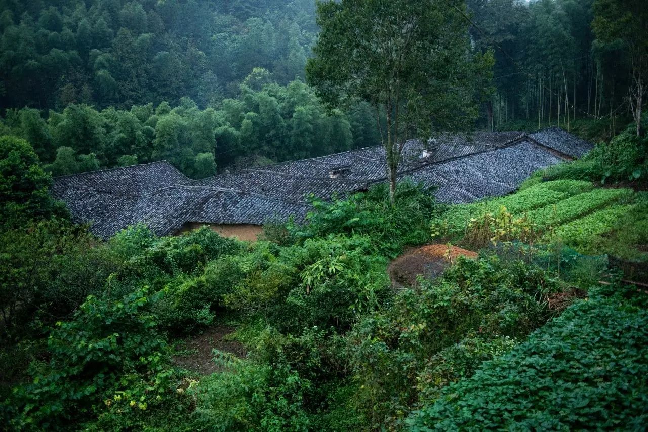 陌上·花溪堂，陌上花開笑顏傾城