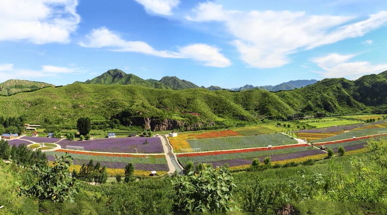 陌上·花溪堂，陌上花開笑顏傾城