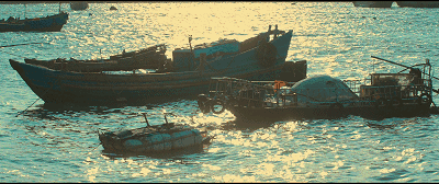 溫州·花崗漁村，海外桃源別有天此間小住亦神仙