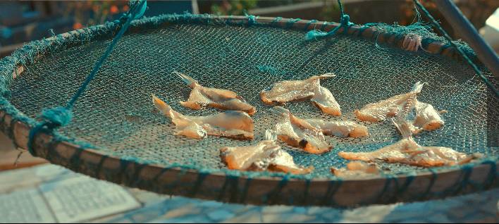 溫州·花崗漁村，海外桃源別有天此間小住亦神仙