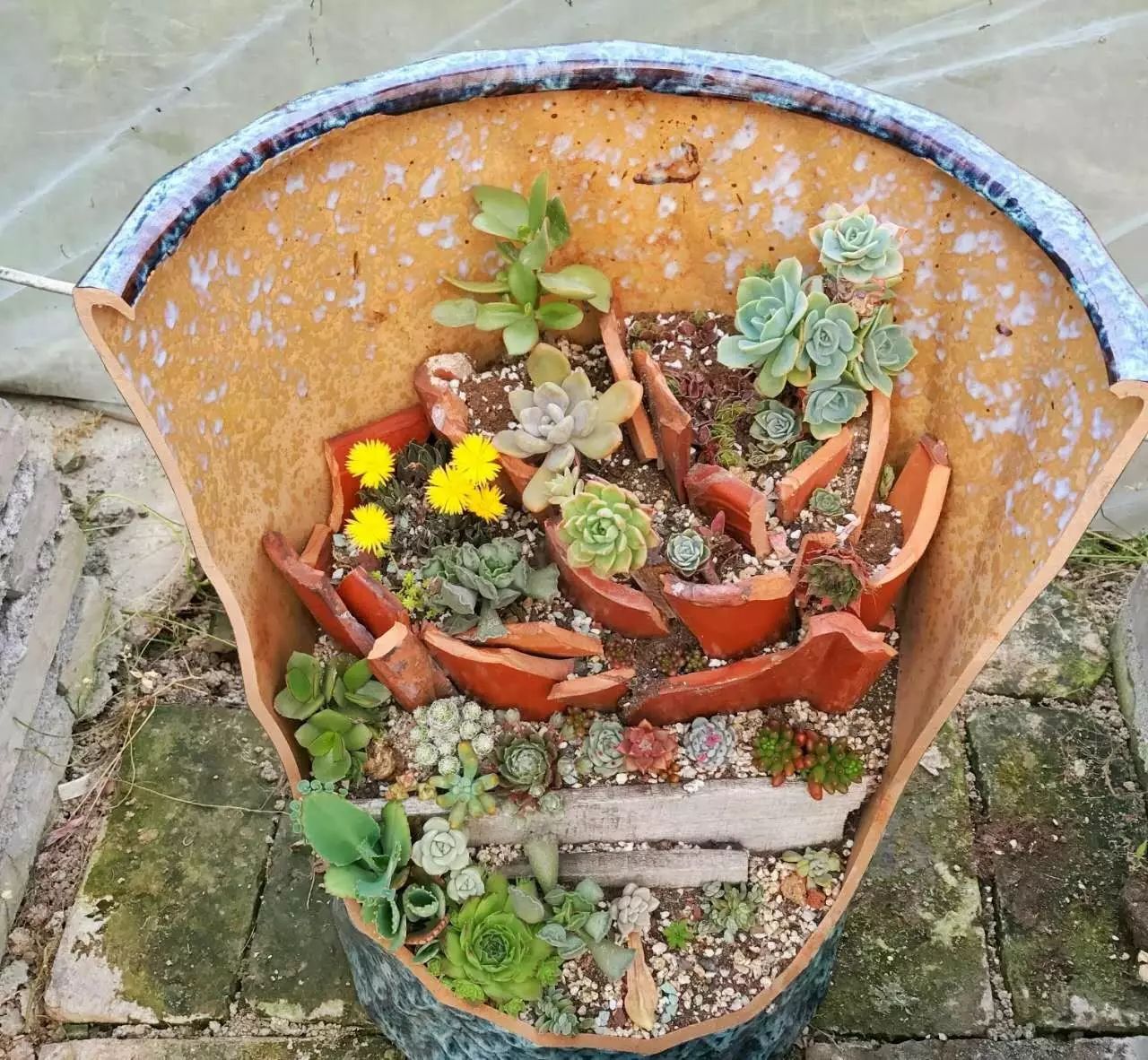 溫州·花崗漁村，海外桃源別有天此間小住亦神仙