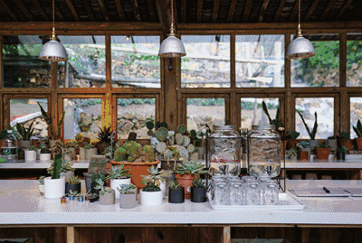 溫州·花崗漁村，海外桃源別有天此間小住亦神仙