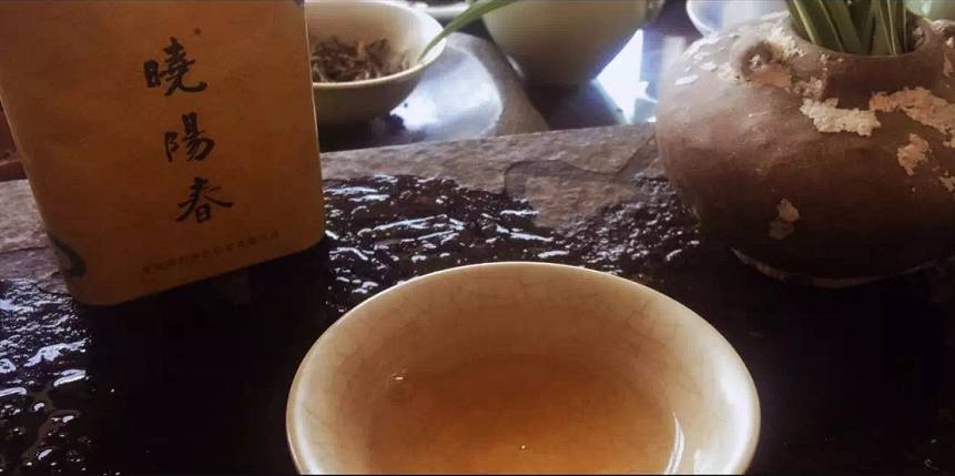 曉陽春茶，尋找茶道融于茶水中的美好生活