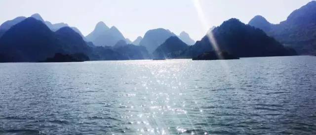 桃花壹號，靜下來品味生活最美的那一面