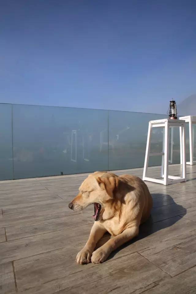 桃花壹號(hào)，靜下來品味生活最美的那一面